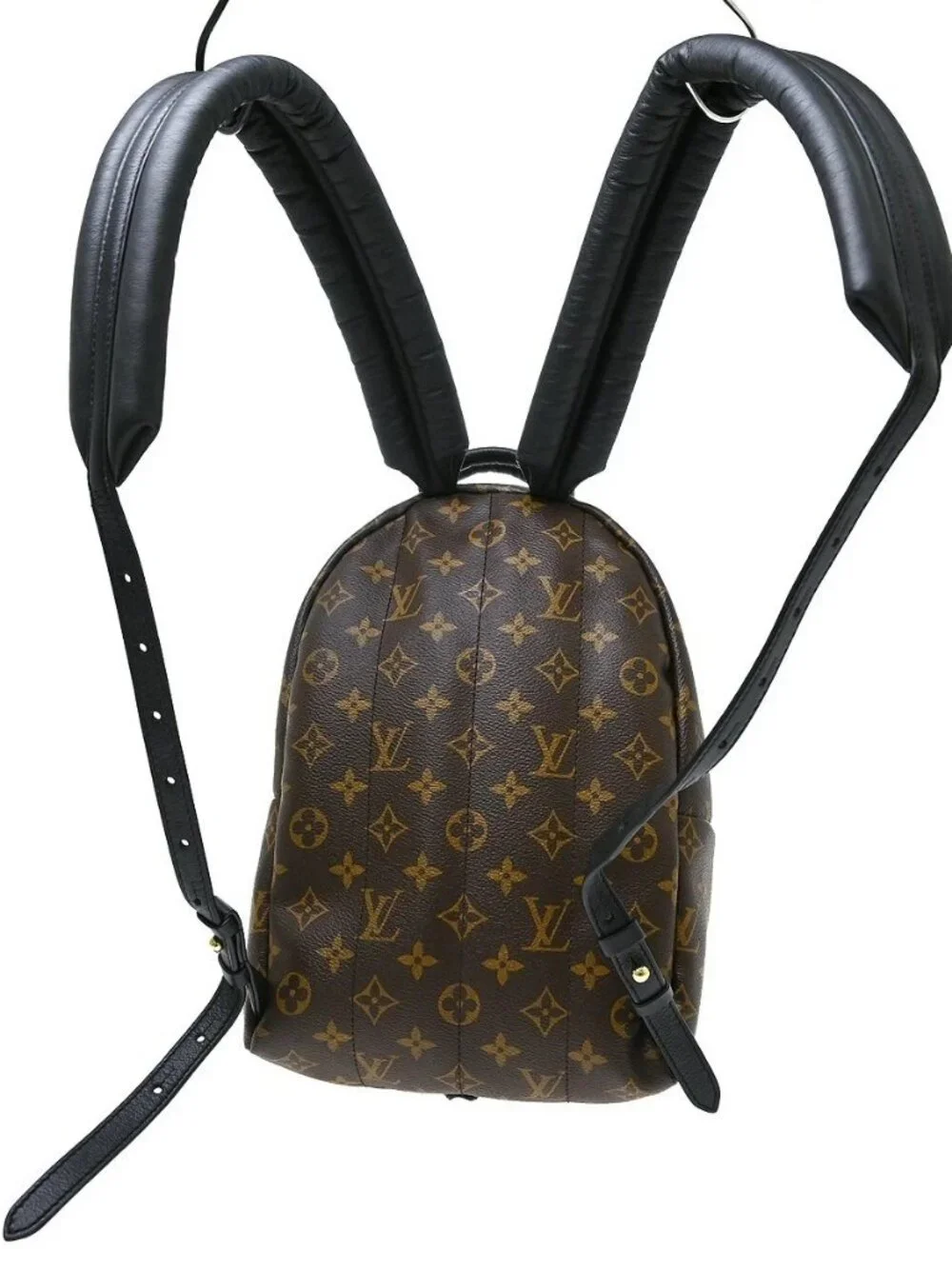 Louis Vuitton Palm Springs Backpack PM Rucksack M41560 PL1149 RQ04865